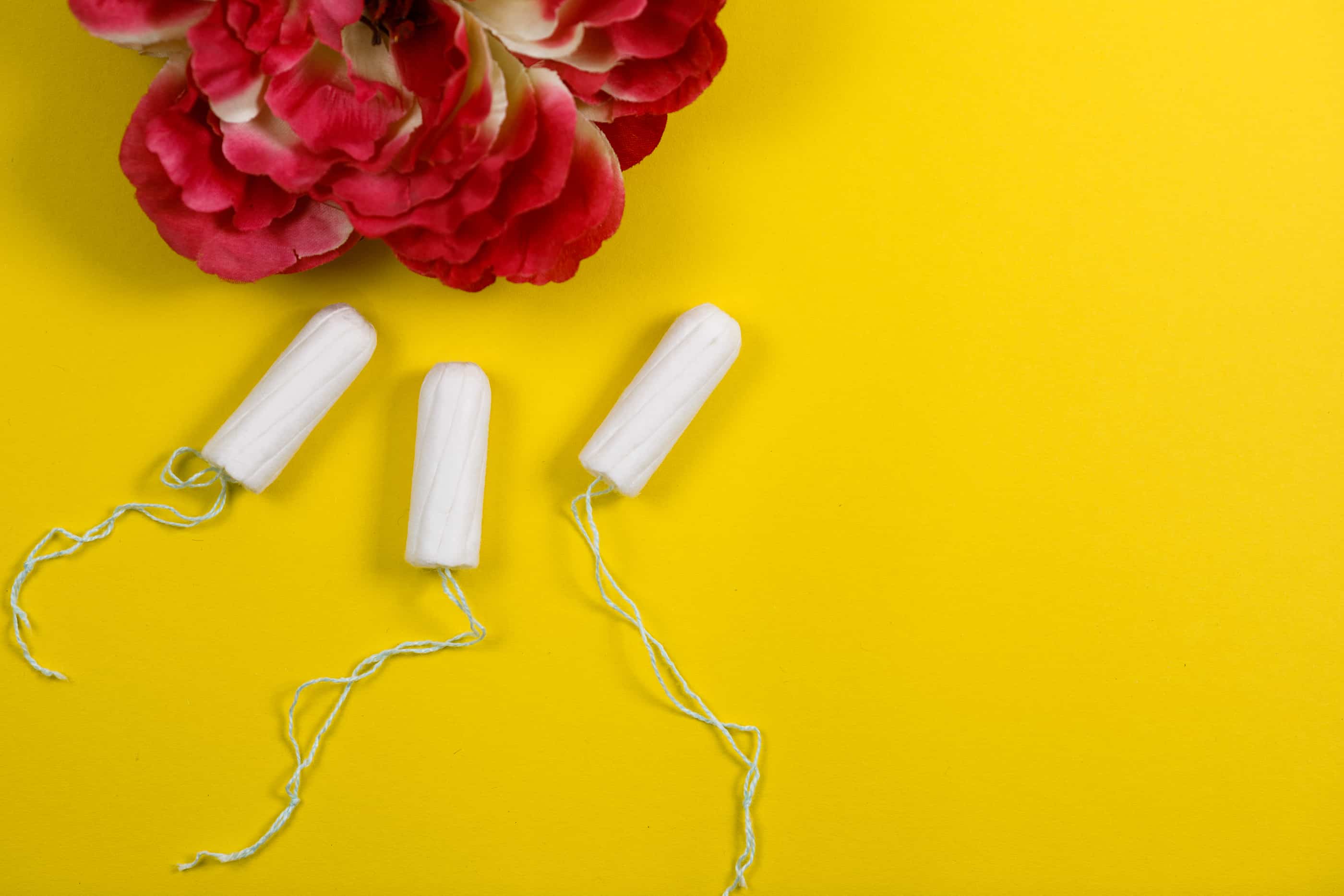 Putting an End to Tampon Shaming Pandia Health