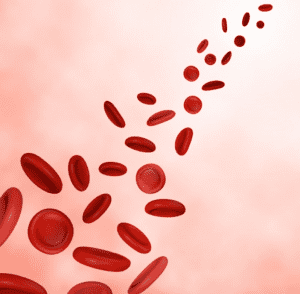 blood cells