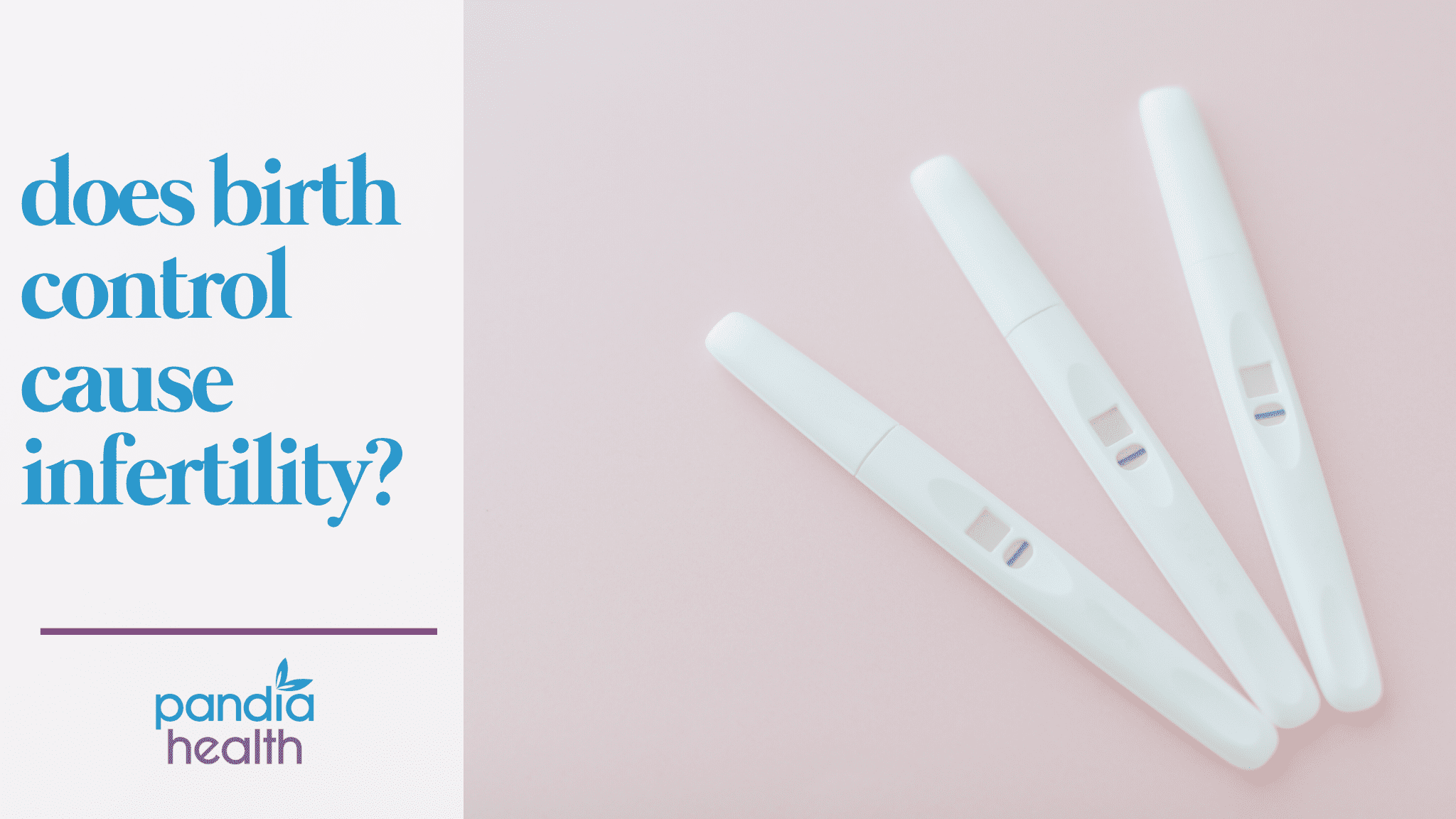 Sample Meal Ideas and Recipes for Weight Loss