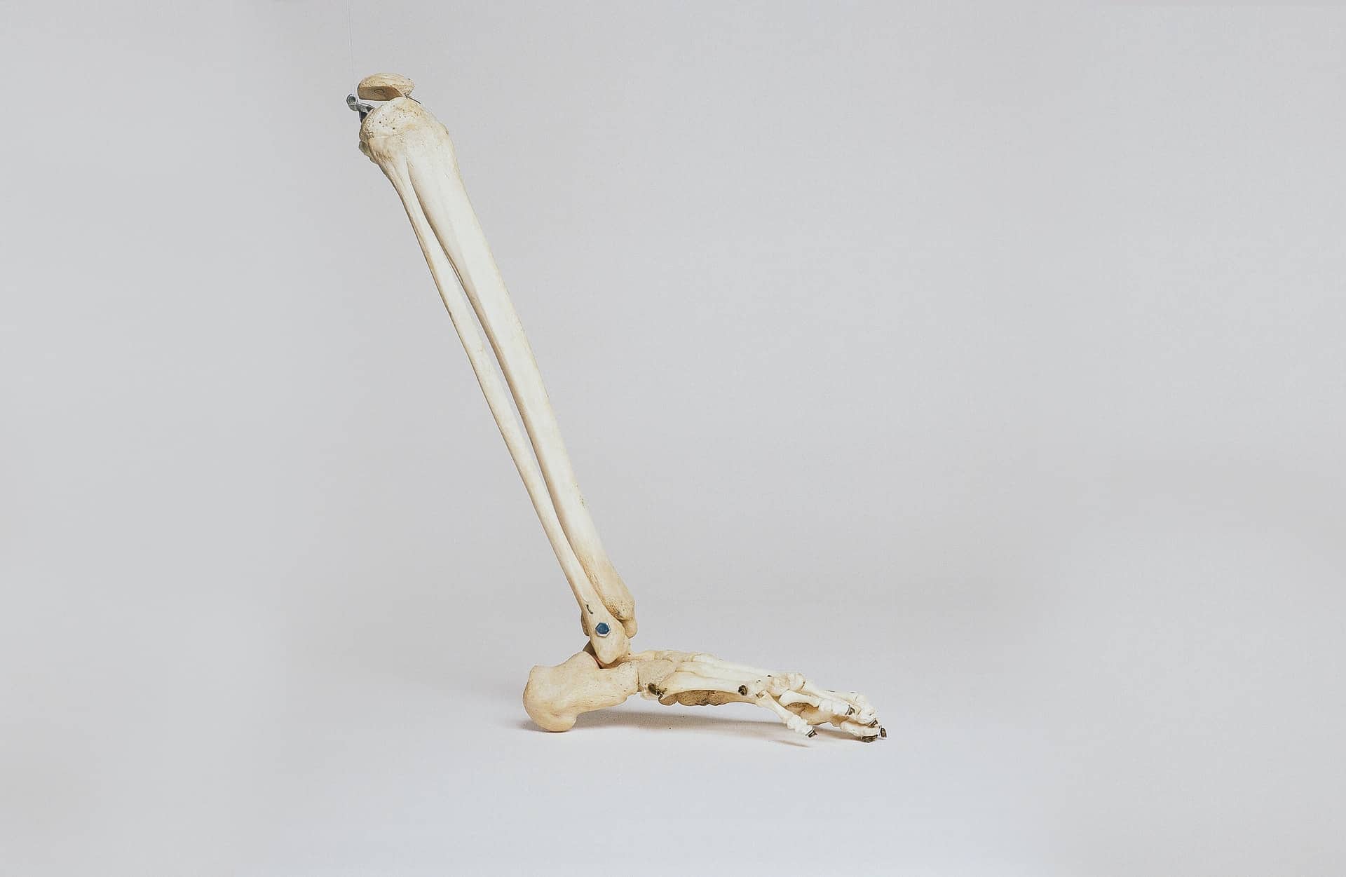 Portapillole Controllo Nascite A Forma Di Maiale - Custodia In Pelle PU, Compatta E Carina - Foto 13