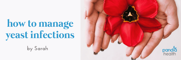 hands holding a red blooming flower