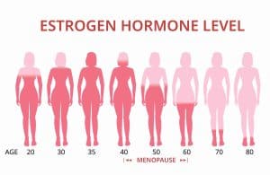 Estrogen hormone levels in menopause chart