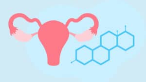Picture of a cartoon ovary image next to the chemical formulation for estrogen