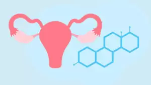 Picture of a cartoon ovary image next to the chemical formulation for estrogen