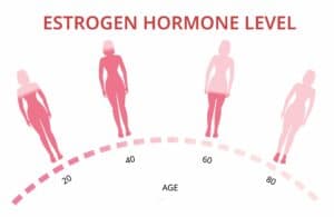 Estrogen hormone levels chart, menopause, infographic vector